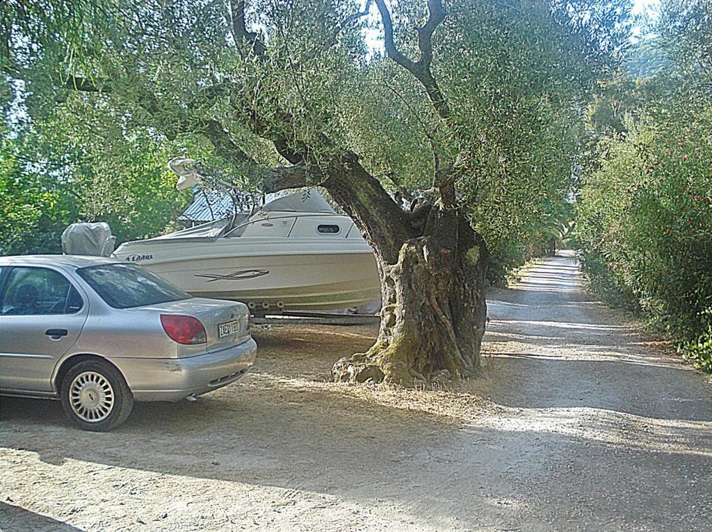 Apartament Theodora *