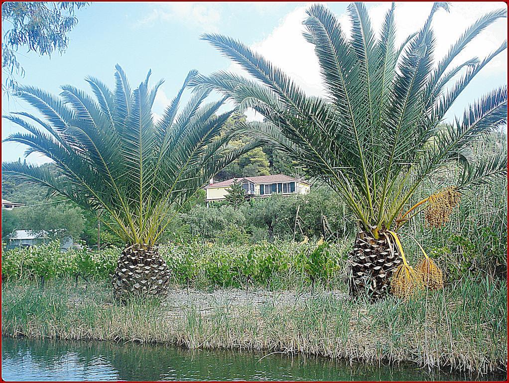 Appartement Theodora *